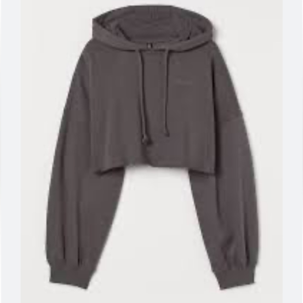 Champion cropped hoodie in Slate Gray size Large Thick and comfortable like new.